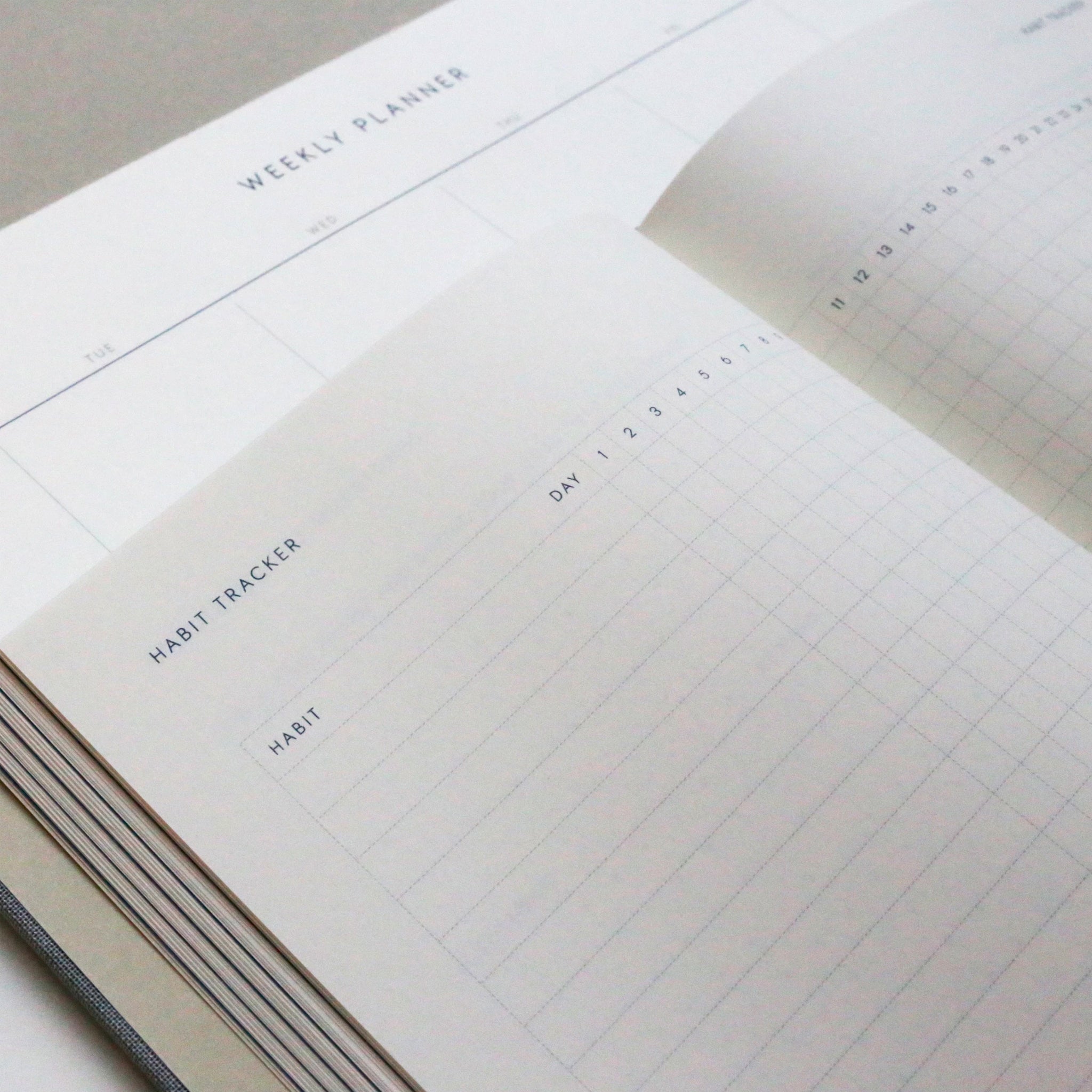 Goals Journal
